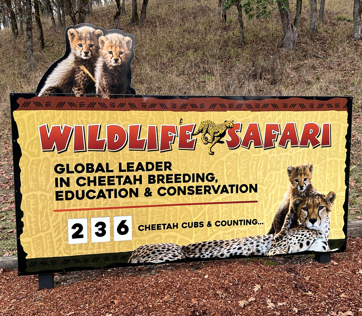 Entrance sign into Wildlife Safari that displays the number of cheetahs born at the park.